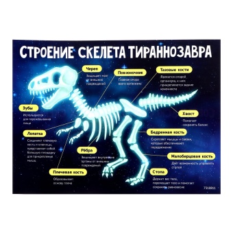 Набор Эврики Эпоха динозавров Скелет тираннозавра
